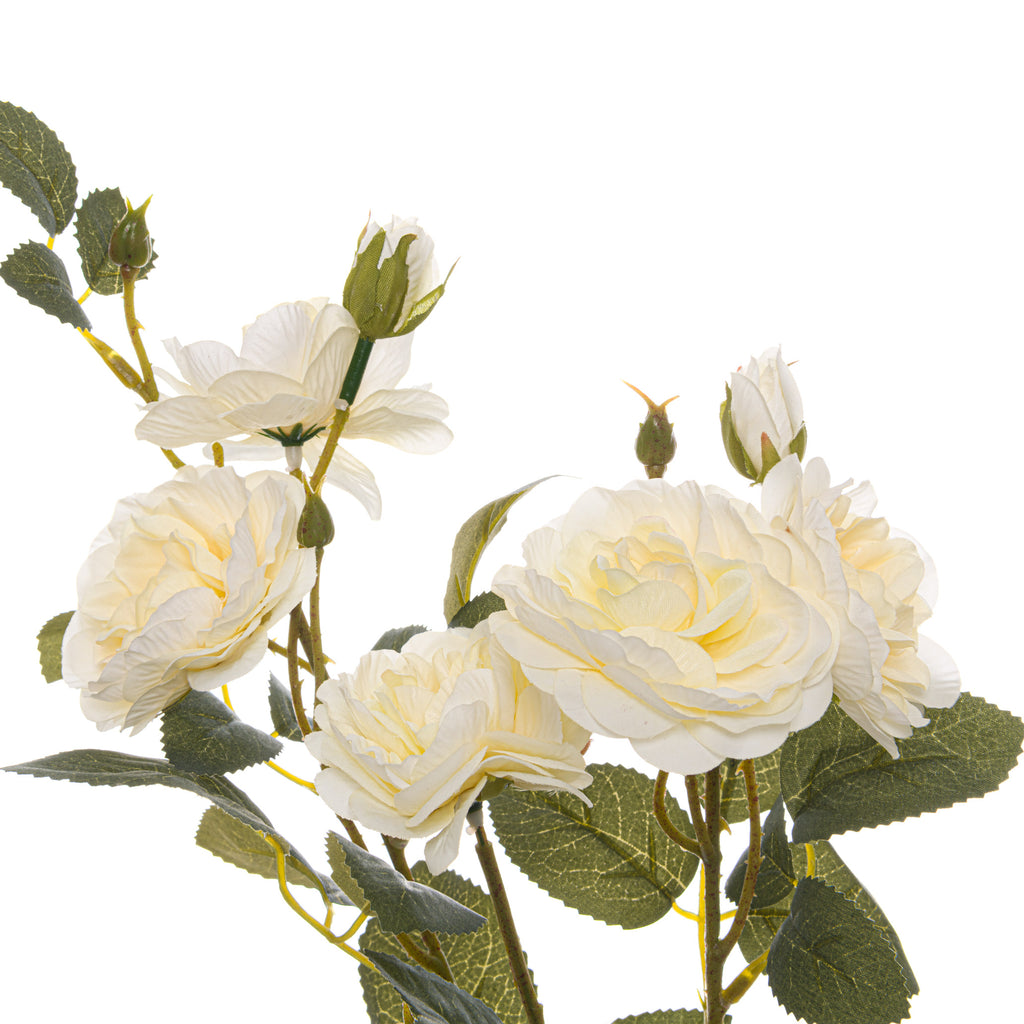 Soft White Cottage Rose Stem 53 cm