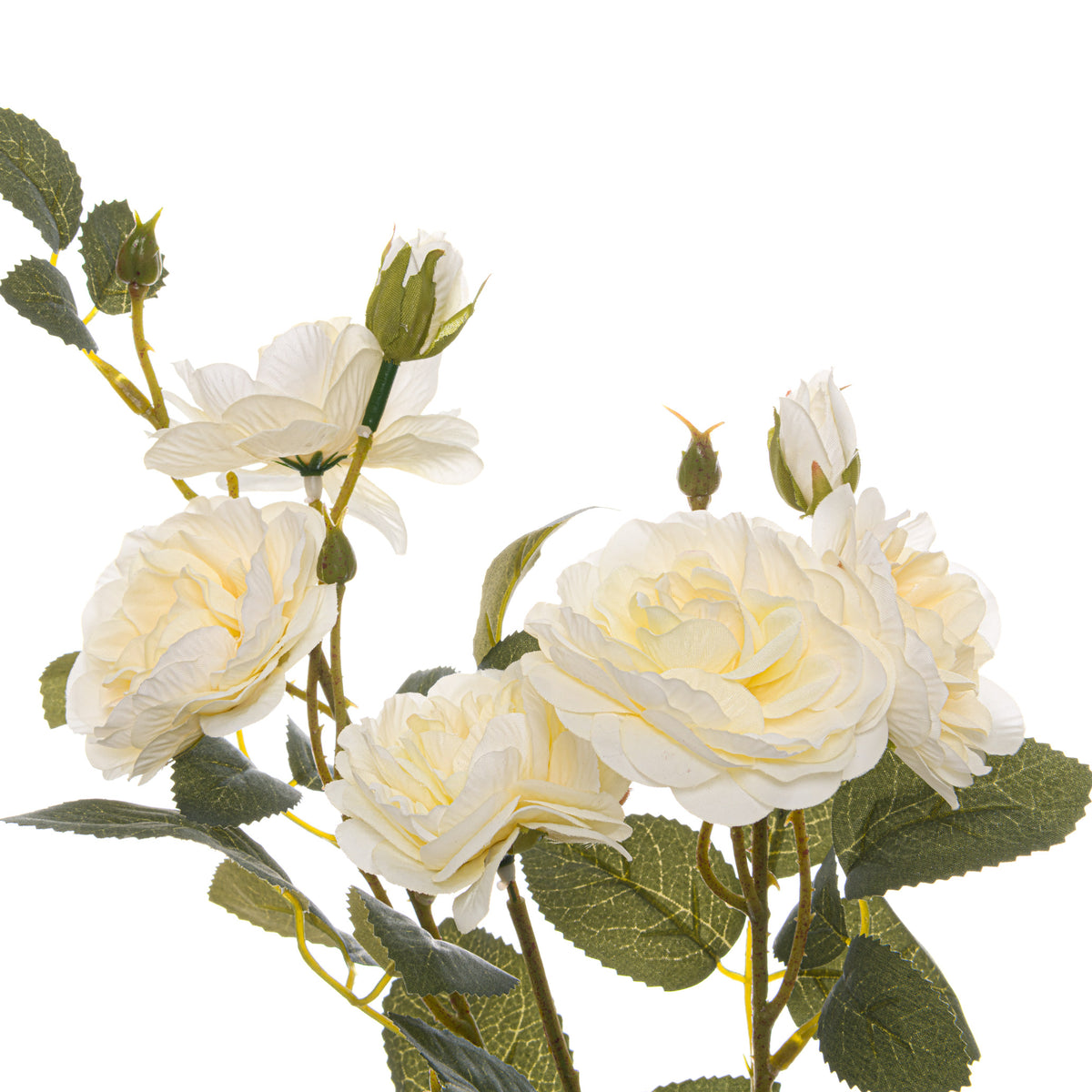 Soft White Cottage Rose Stem 53 cm