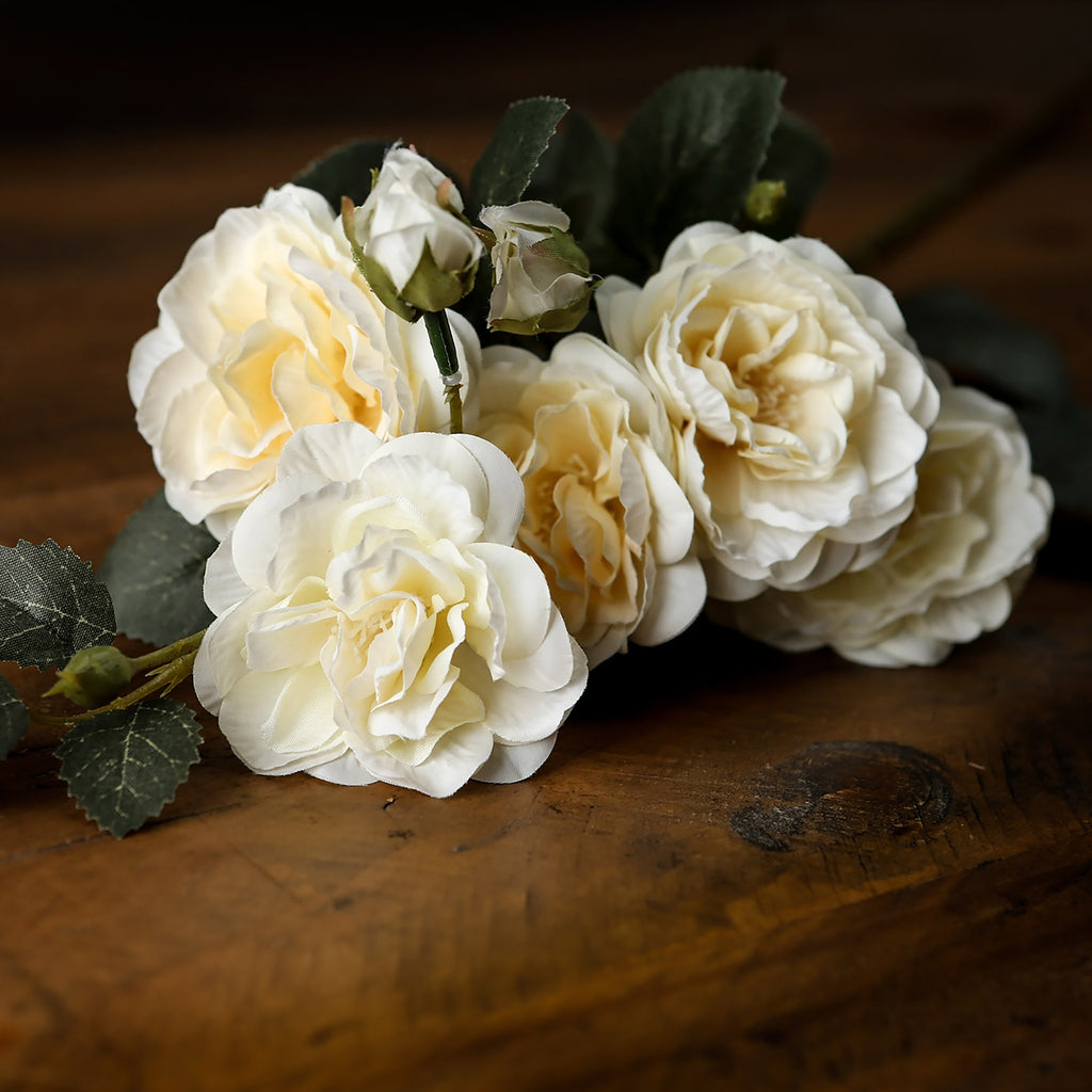 Soft White Cottage Rose Stem 53 cm