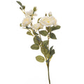 Soft White Cottage Rose Stem 53 cm