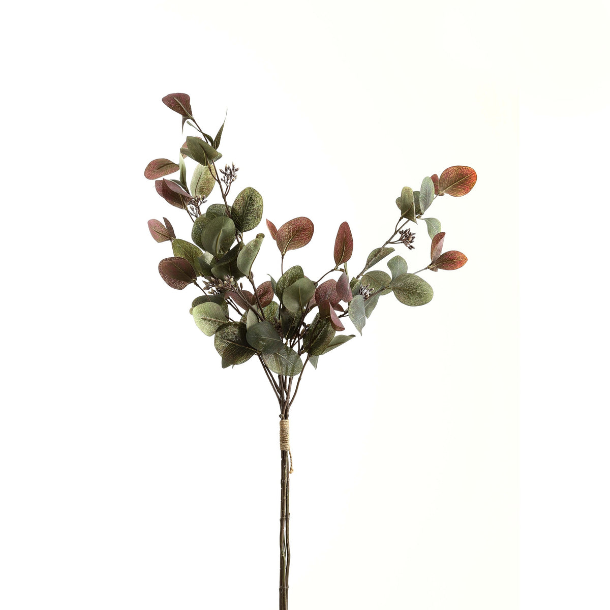 Variegated Eucalyptus Bouquet 76 cm