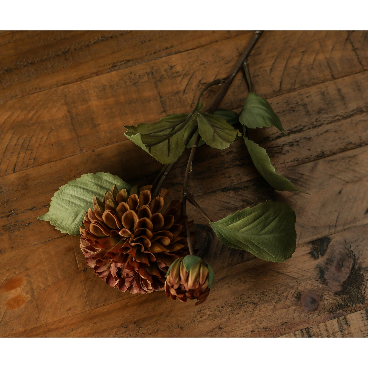 Deep Mustard Dahlia Stem 62 cm