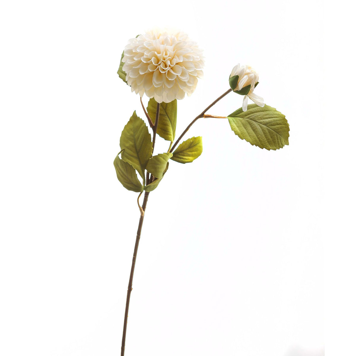 White Dahlia Stem 62 cm