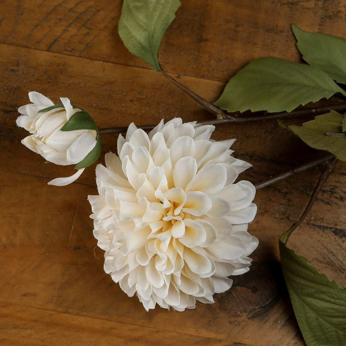 White Dahlia Stem 62 cm