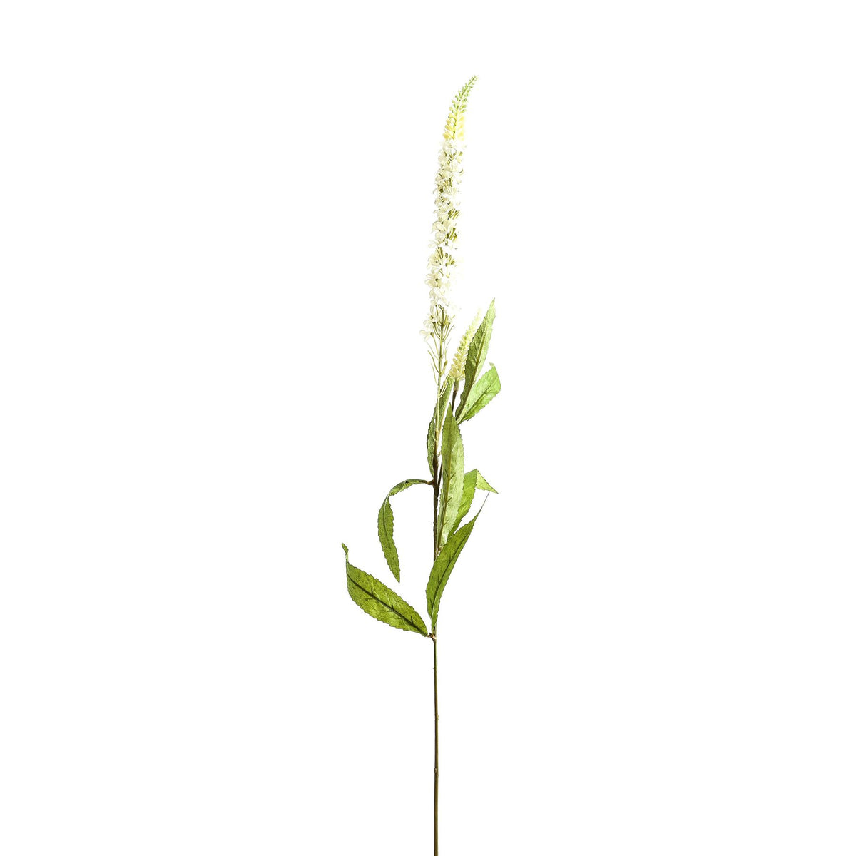 White Veronica Stem 76 cm