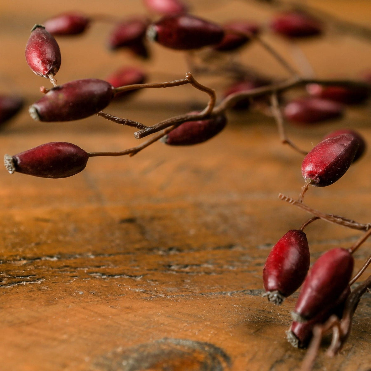 Burgundy Rosehip Stem 108 cm