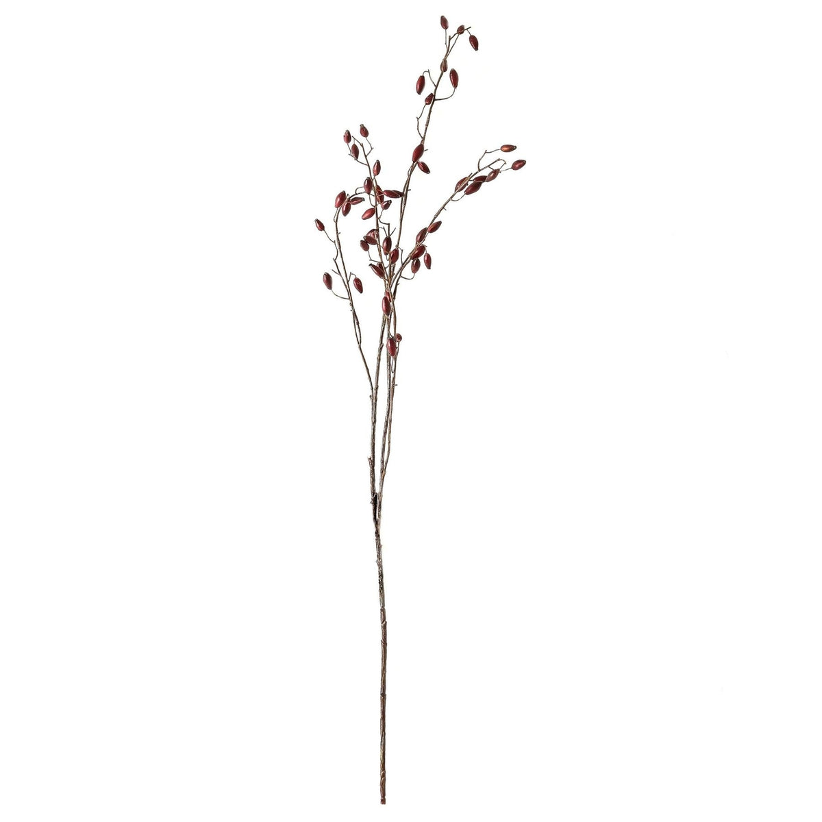 Burgundy Rosehip Stem 108 cm