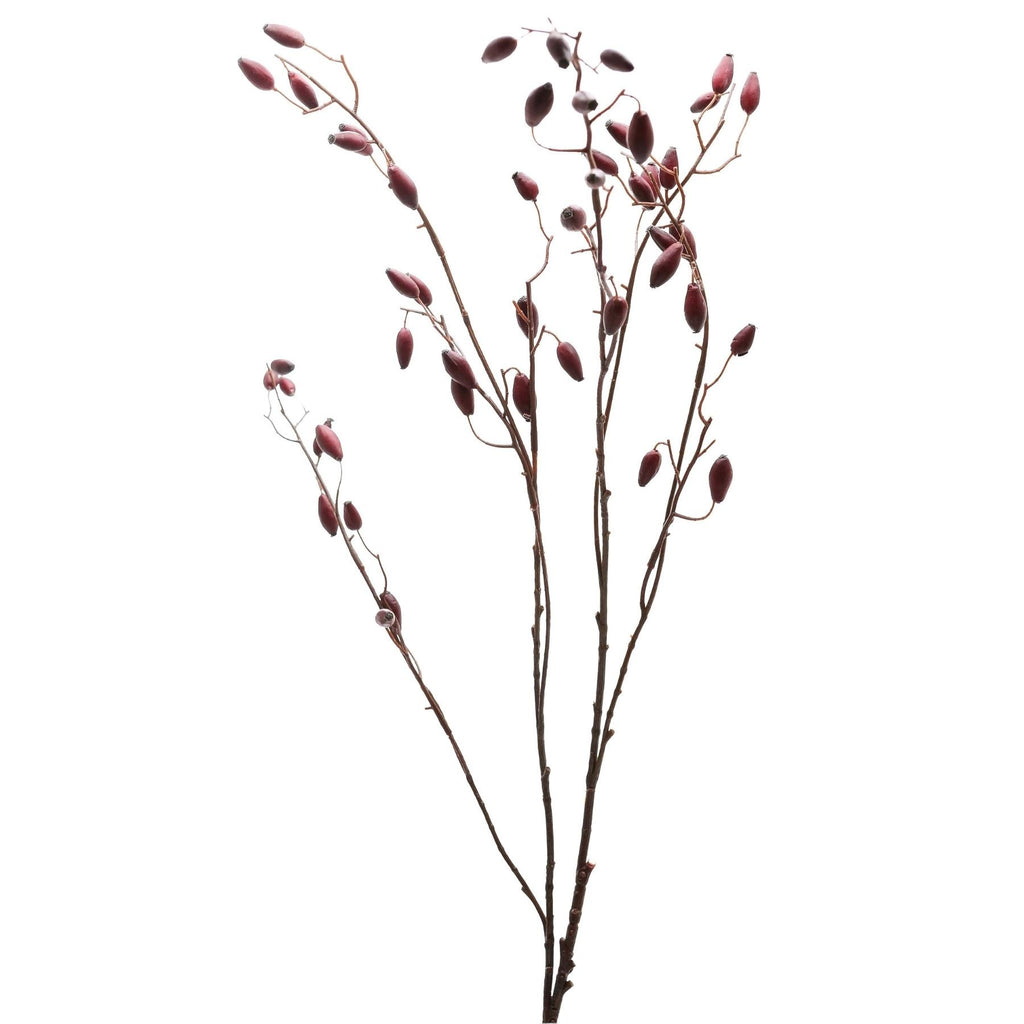 Burgundy Rosehip Stem 108 cm