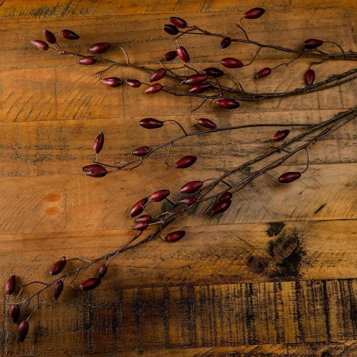Burgundy Rosehip Stem 108 cm