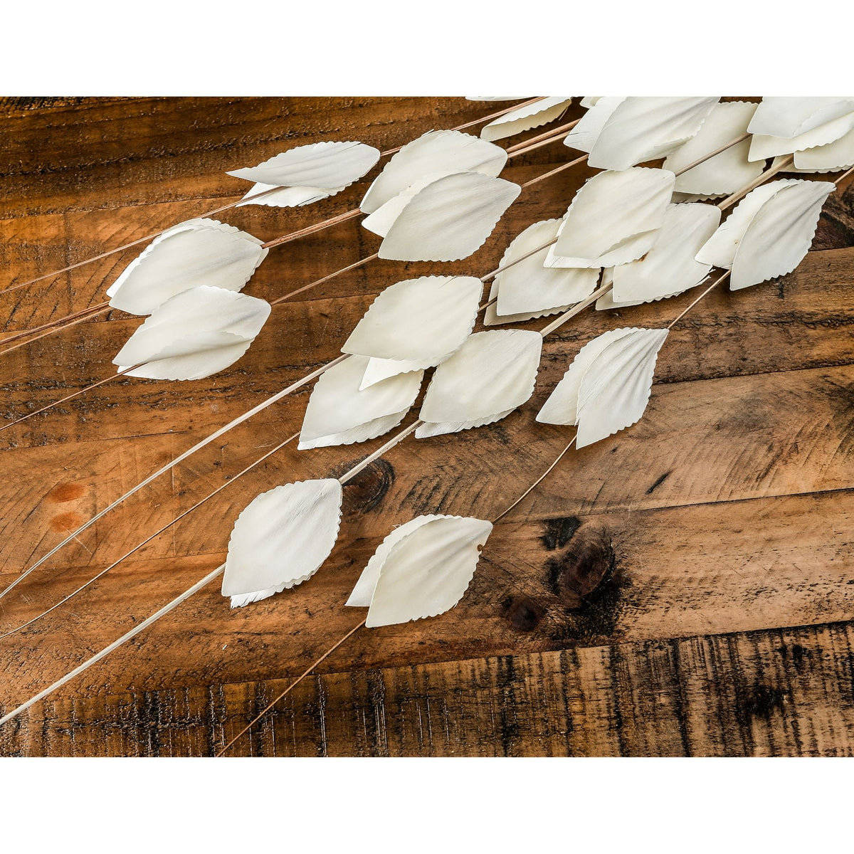 Bouquet Of Dried Thlaspi Arvense 120 cm
