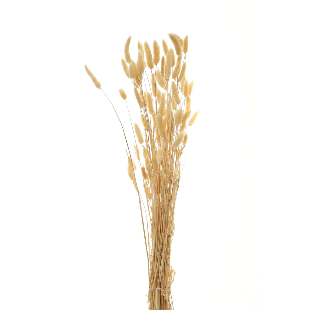Bouquet Of Tall Bunny Tails 76 cm