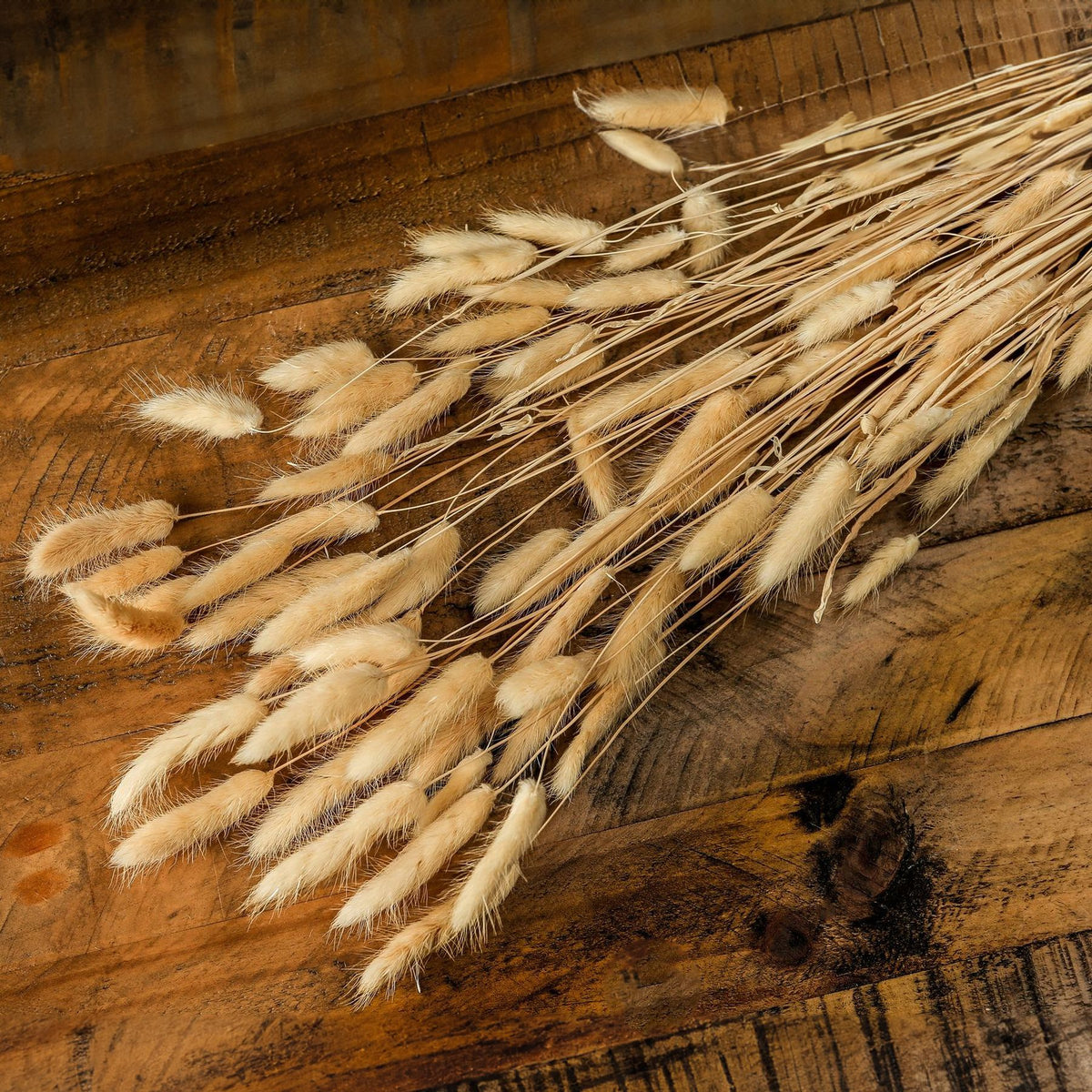 Bouquet Of Tall Bunny Tails 76 cm