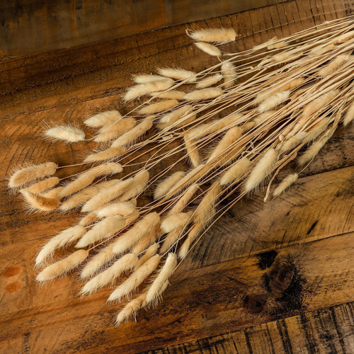 Bouquet Of Tall Bunny Tails 76 cm