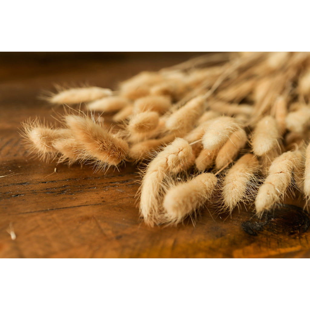 Bouquet Of Tall Bunny Tails 76 cm