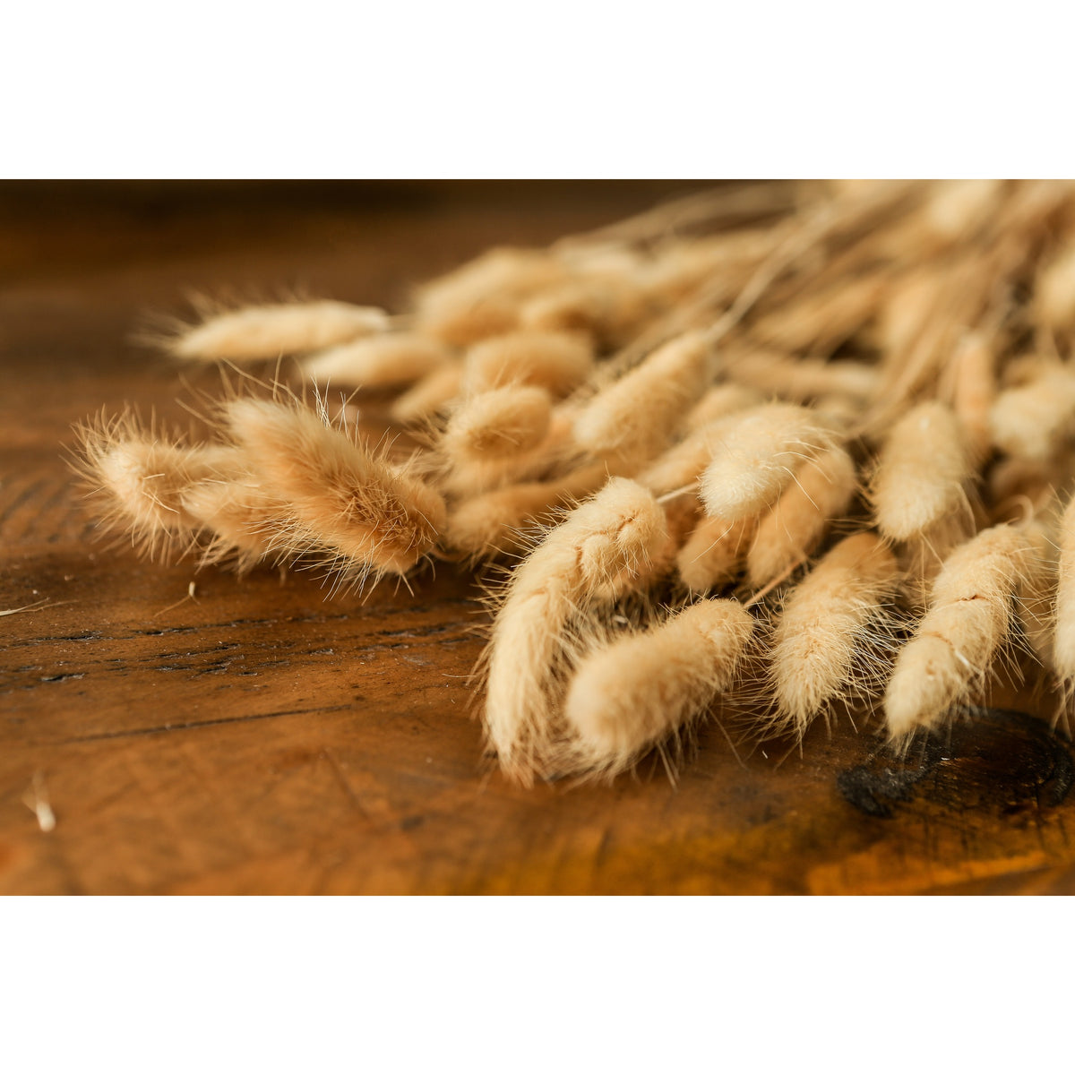 Bouquet Of Tall Bunny Tails 76 cm