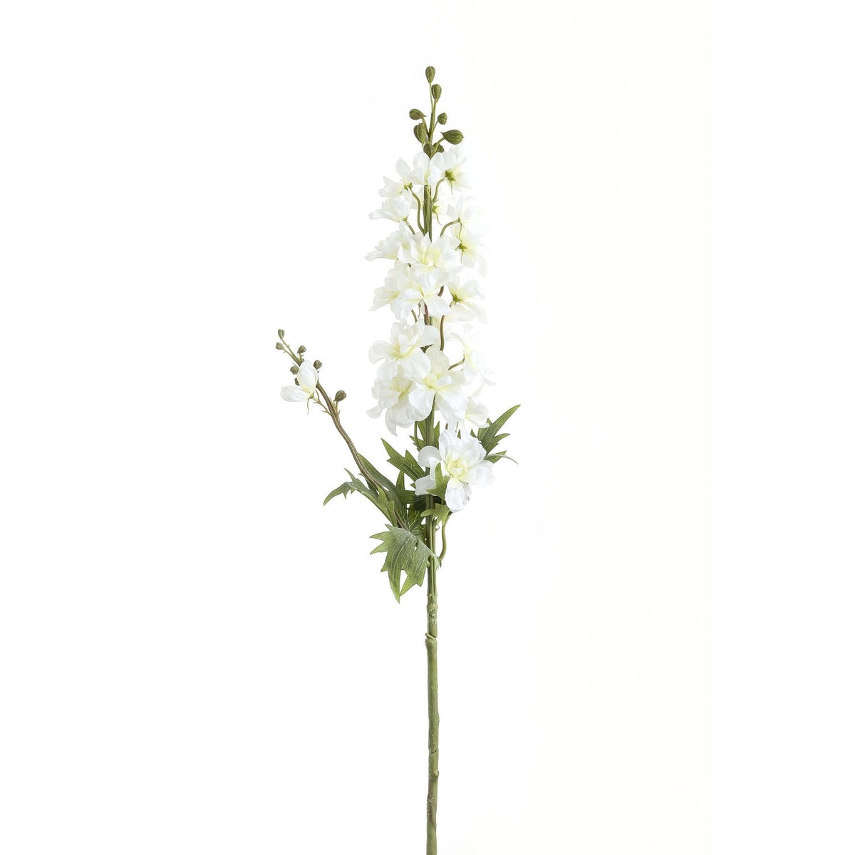 Tall White Delphinium Stem 84 cm