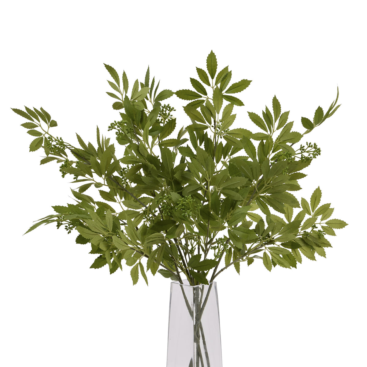 Long Fennel Stem 76 cm