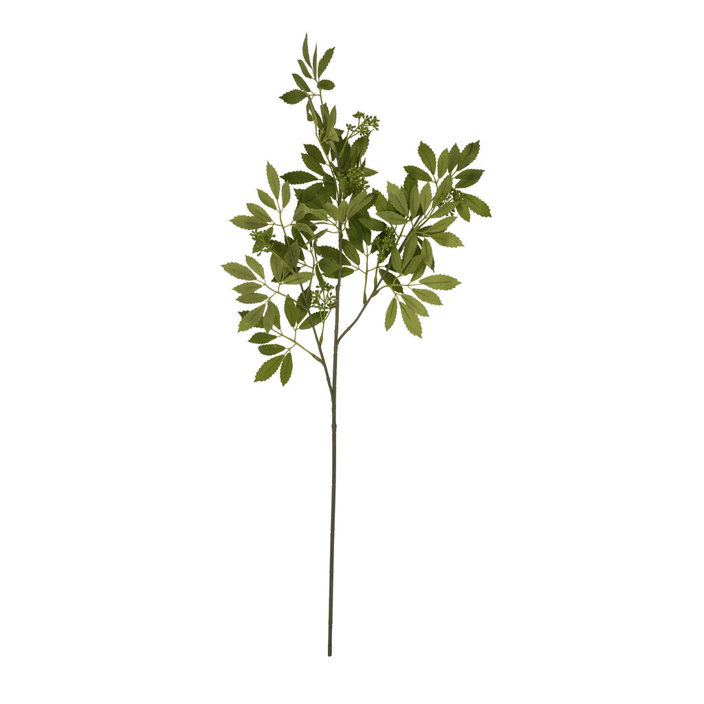 Long Fennel Stem 76 cm