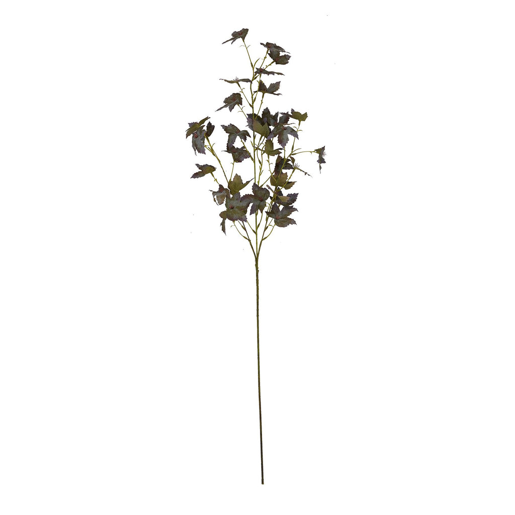 Variegated Maple Leaf 97 cm