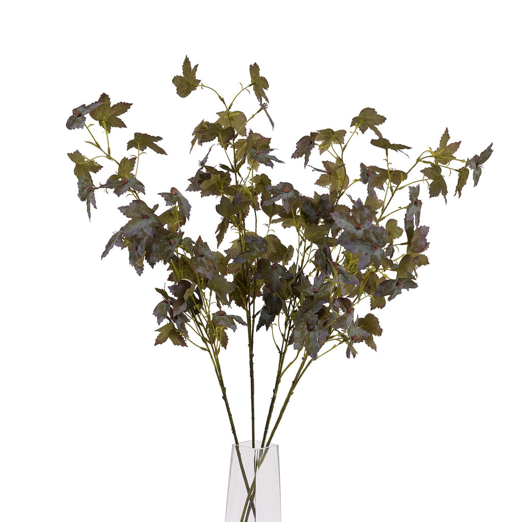 Variegated Maple Leaf 97 cm