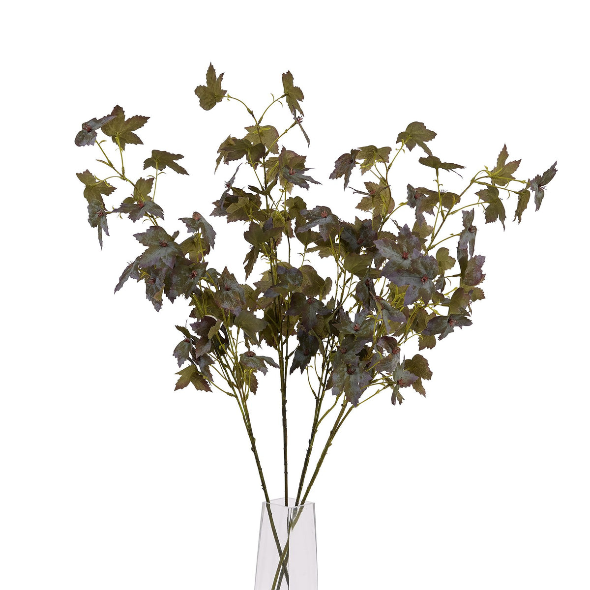 Variegated Maple Leaf 97 cm