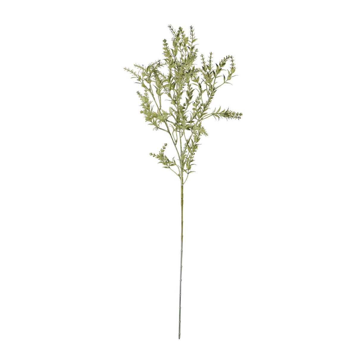 Broom Stem 75 cm