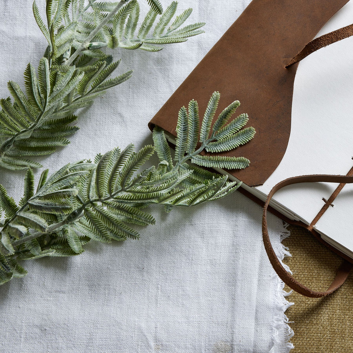 Silver Wattle Leaf 73 cm