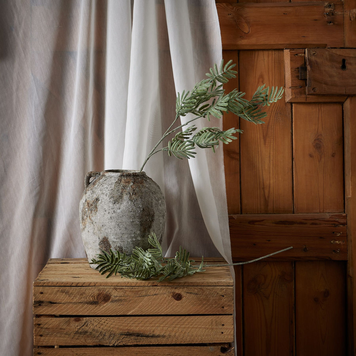 Silver Wattle Leaf 73 cm