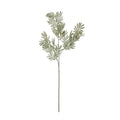 Silver Wattle Leaf 73 cm