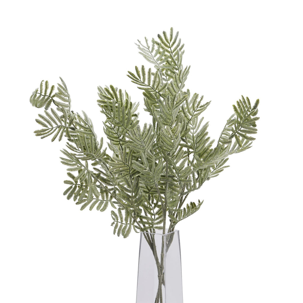 Silver Wattle Leaf 73 cm