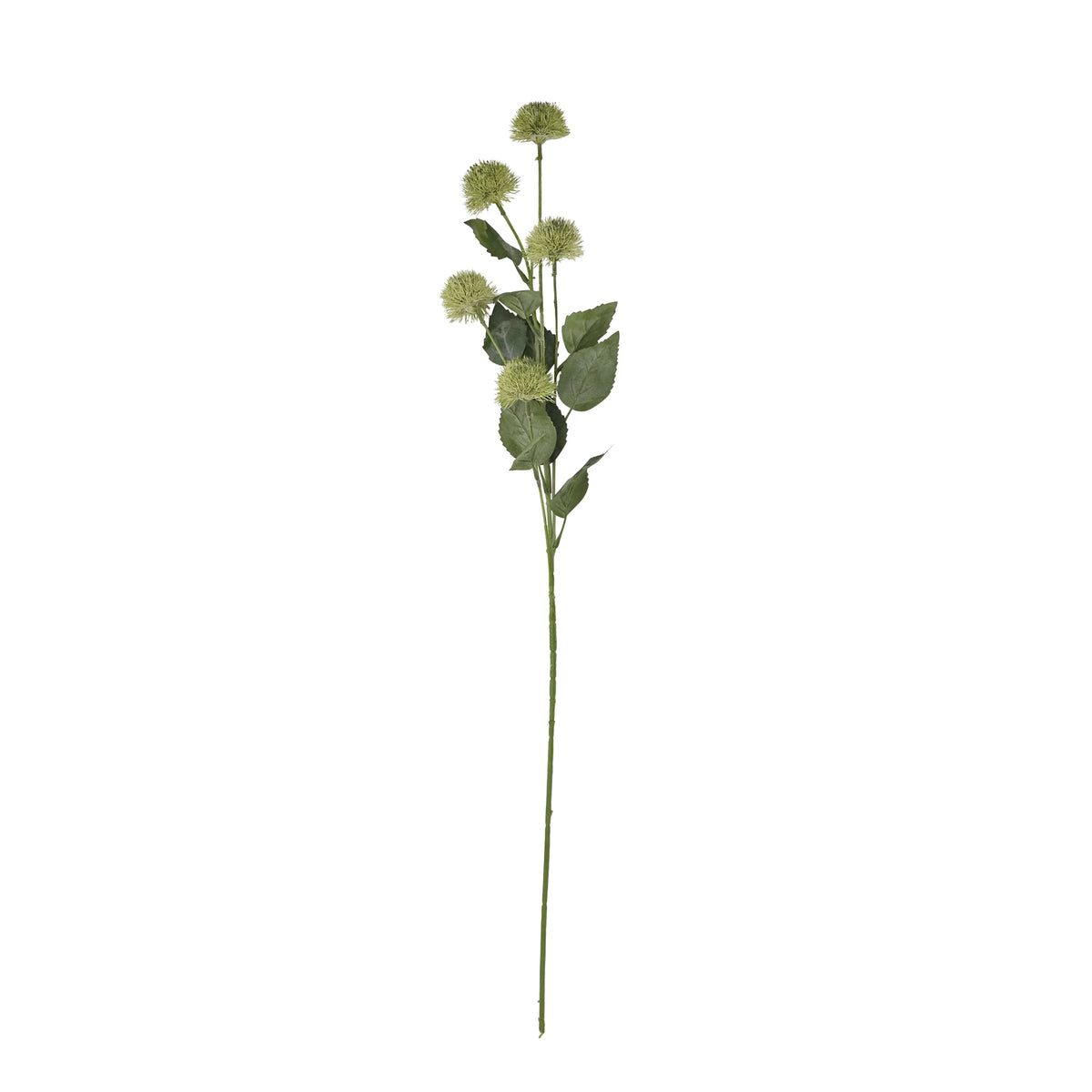 Thistle Globe Stem 81 cm