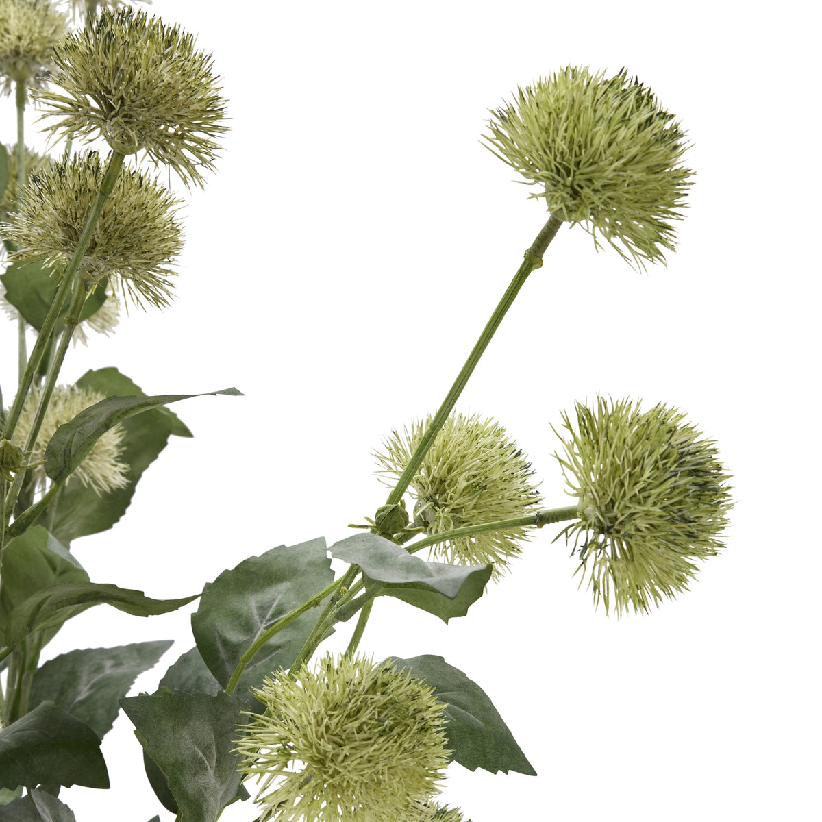Thistle Globe Stem 81 cm