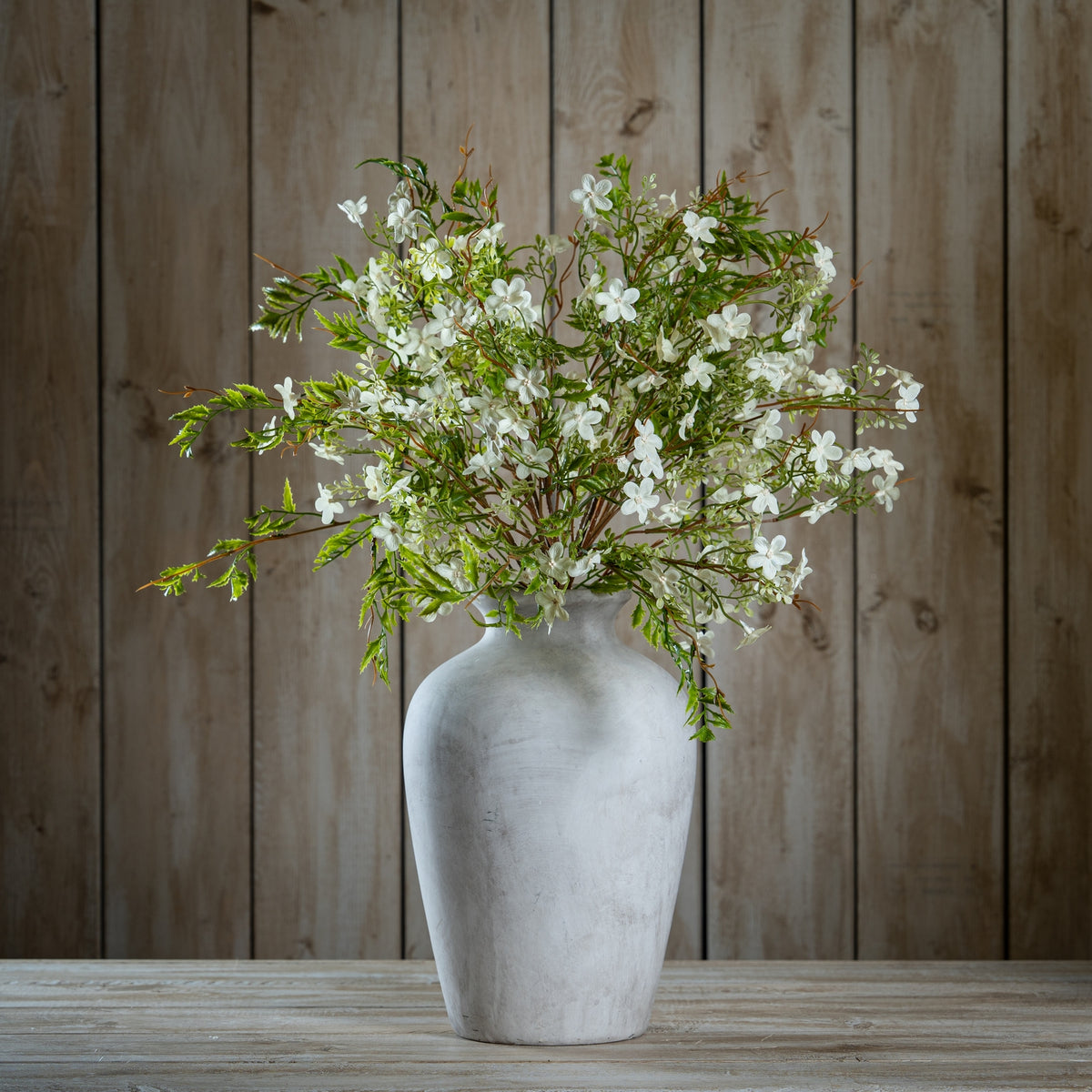 Italian White Bellflower 63 cm