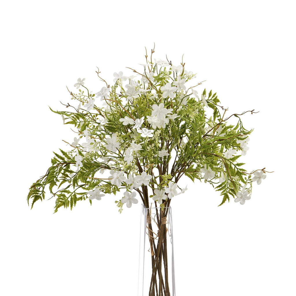 Italian White Bellflower 63 cm