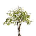 Italian White Bellflower 63 cm