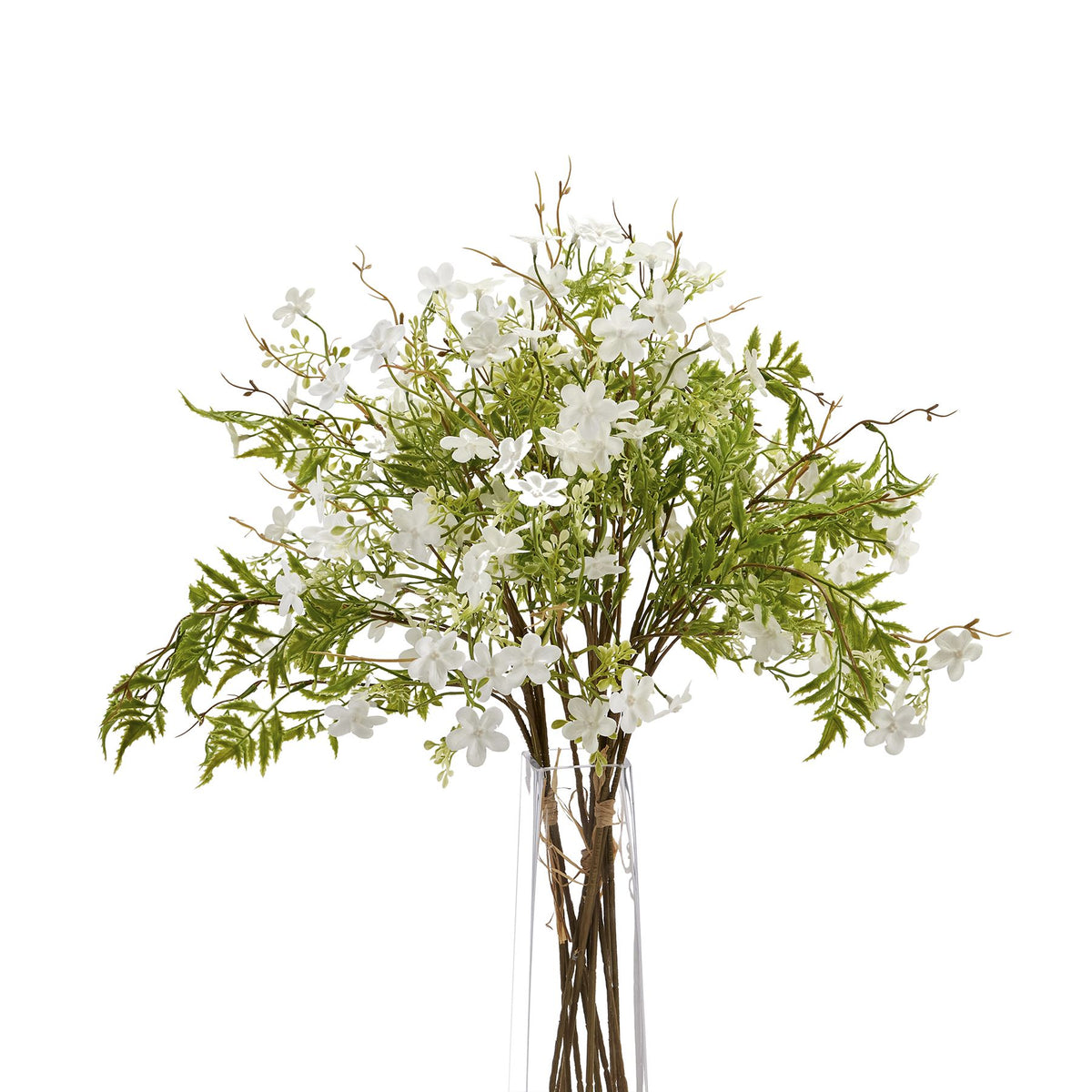 Italian White Bellflower 63 cm