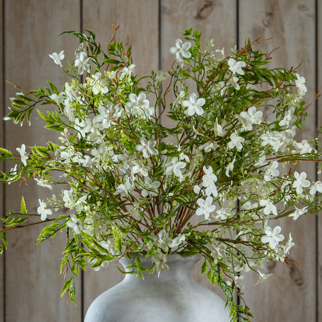 Italian White Bellflower 63 cm