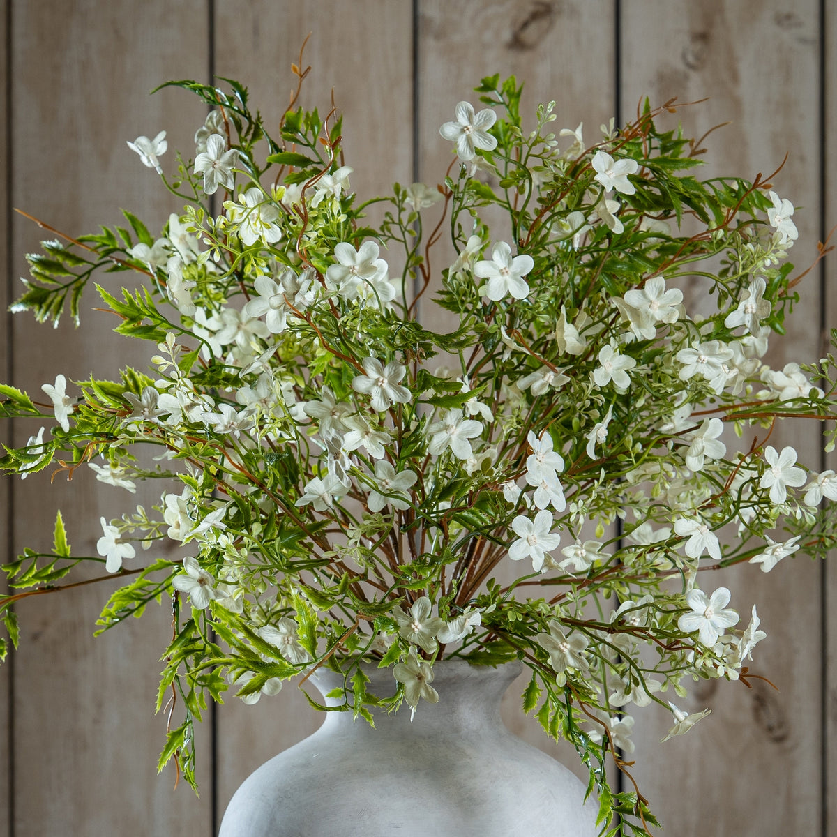 Italian White Bellflower 63 cm
