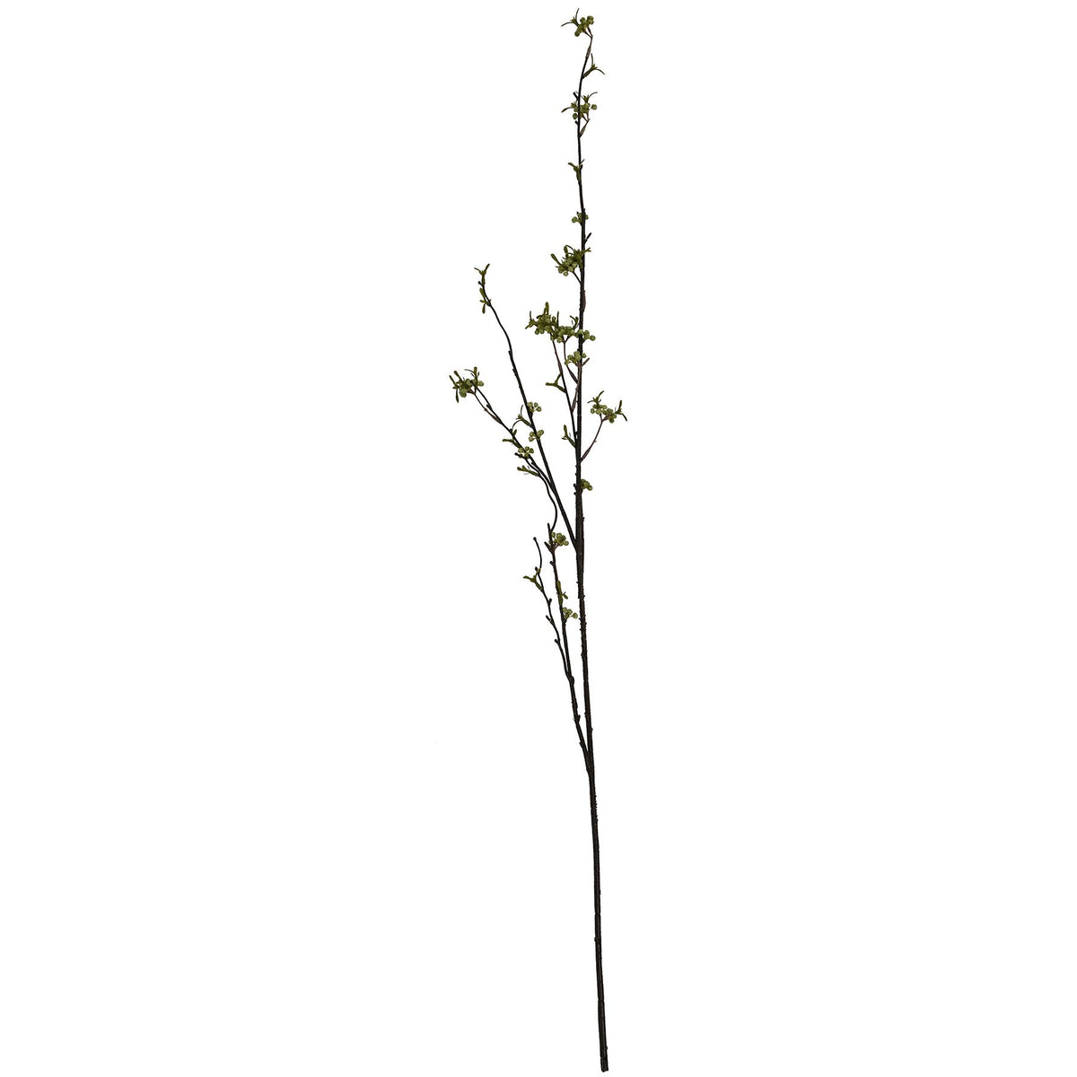 Green Berry Willow Stem 105 cm