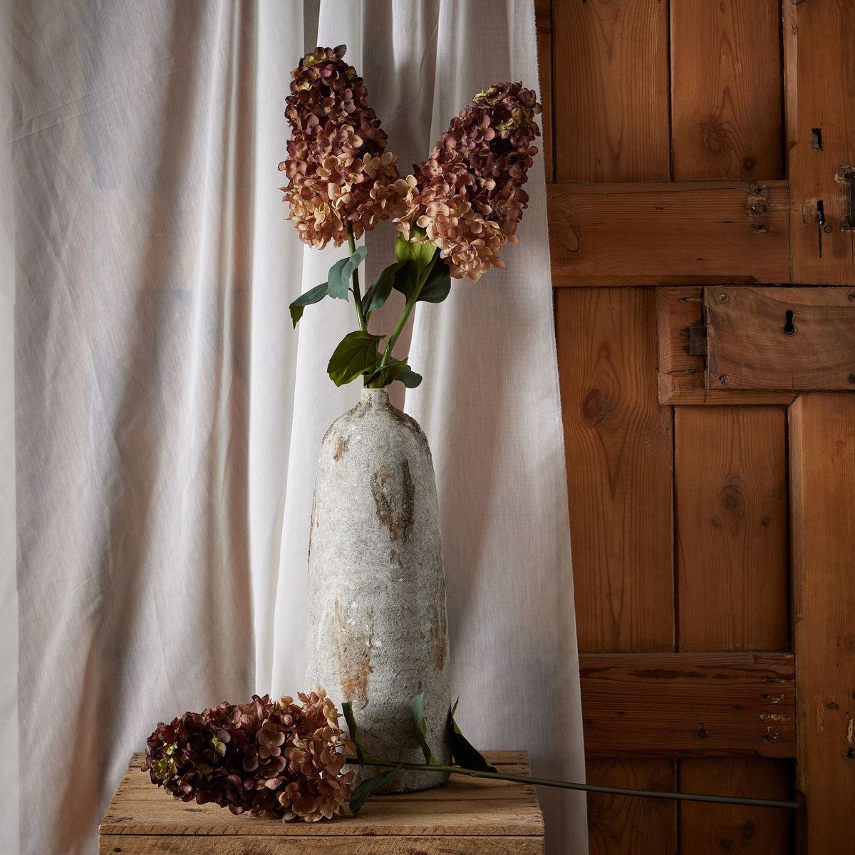 Burgundy Spear Hydrangea 88 cm