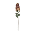 Burgundy Spear Hydrangea 88 cm