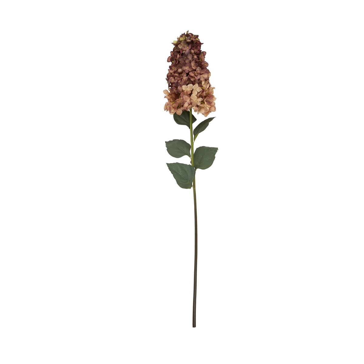 Burgundy Spear Hydrangea 88 cm