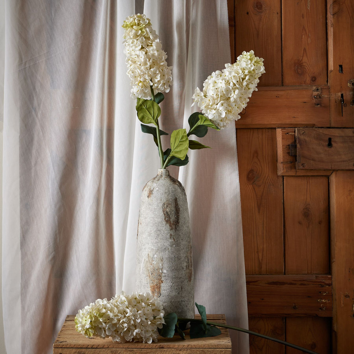 White  Spear Hydrangea 88 cm