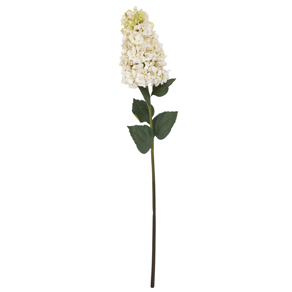 White  Spear Hydrangea 88 cm
