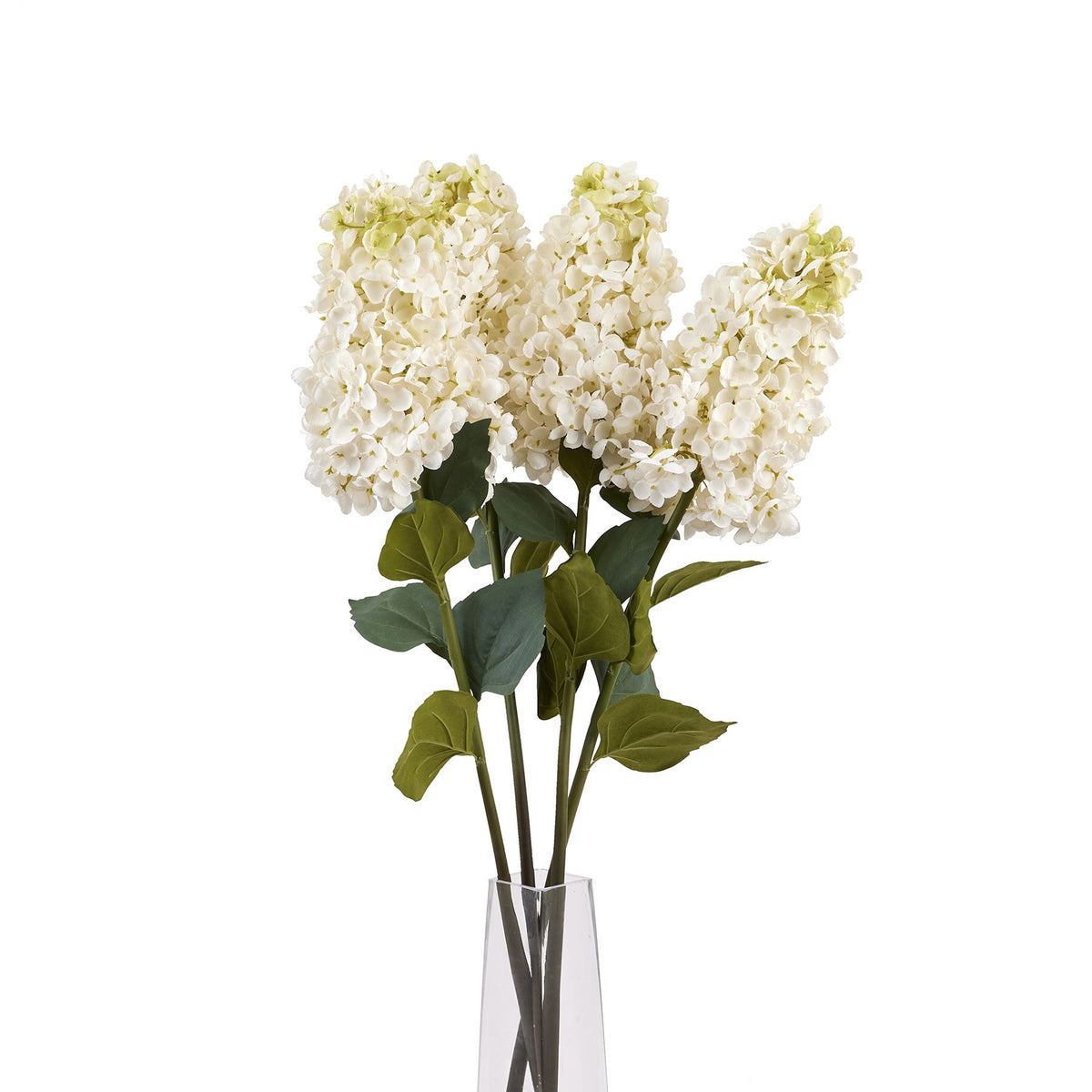 White  Spear Hydrangea 88 cm