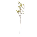 Elaeocarpus Stem 100 cm