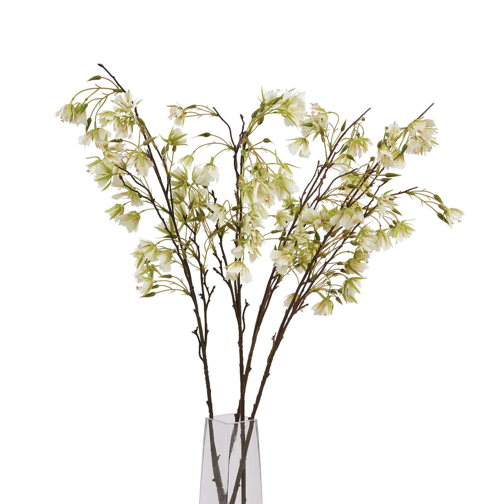 Elaeocarpus Stem 100 cm