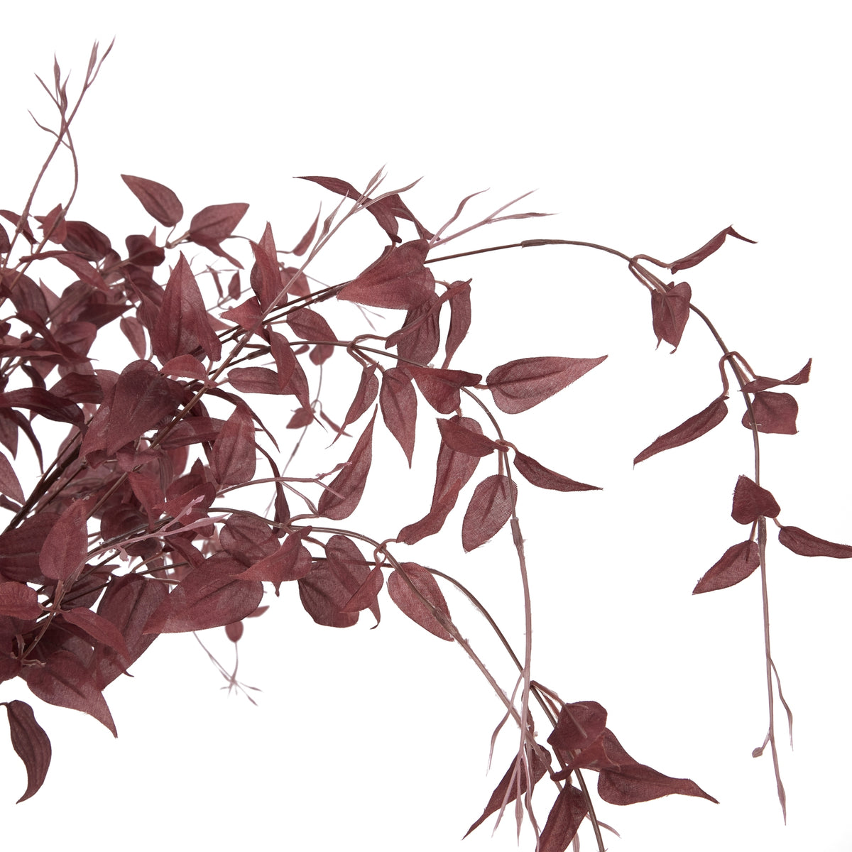 Ornamental Burgundy Leaf 88 cm