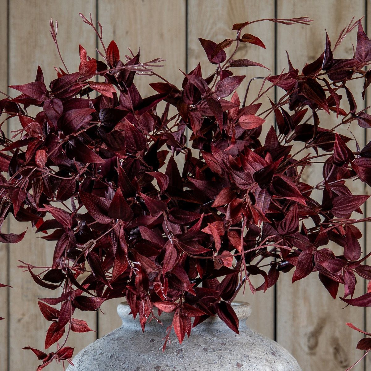 Ornamental Burgundy Leaf 88 cm