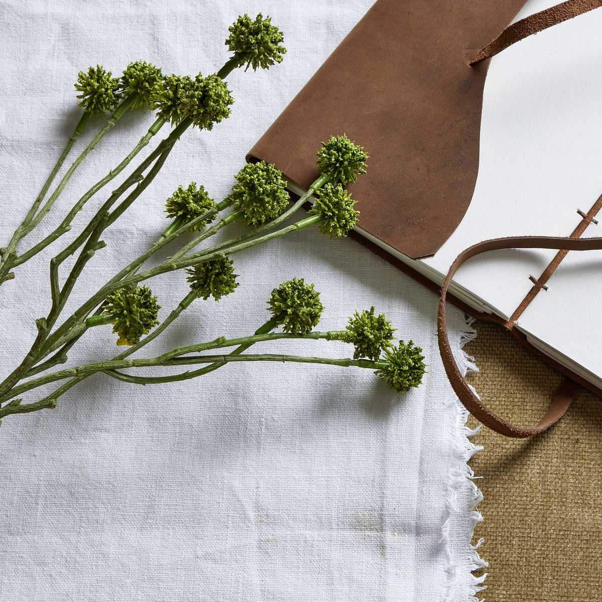 Green Craspedia Stem 60 cm